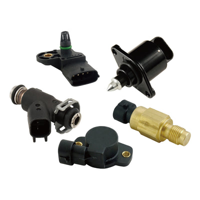 ELECTRONIC FUEL INJECTION COMPONENT